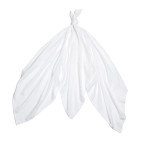 T-TOMI Bambusové pleny White 