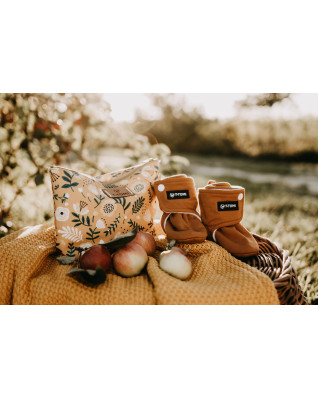 T-TOMI Capáčky Bears (3-6 měsíců)